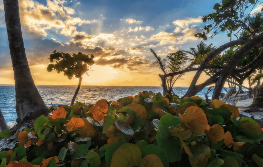 Punta Cana: Invertir en Seguridad en Tiempos de Volatilidad del Mercado Inmobiliario 2 House For Sale In Dominican Republic - Casa en Venta en Punta Cana