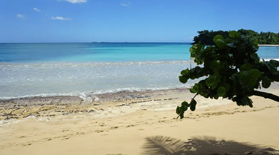 House For Sale In Dominican Republic - Casa en Venta en Punta Cana